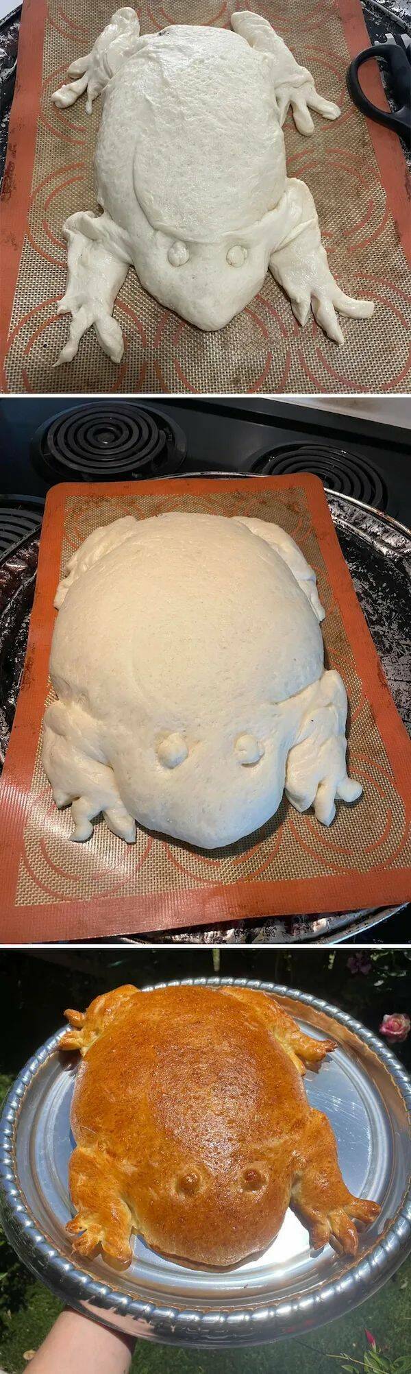 Weird Dishes (15 pics)