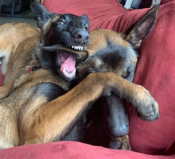 Right Moment (15 pics)