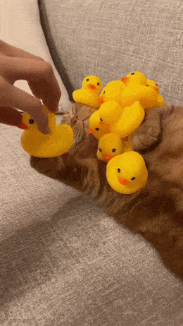 Acid GIFs, January 8 (25 gifs) Acid GIFs, January 8 (25 gifs)