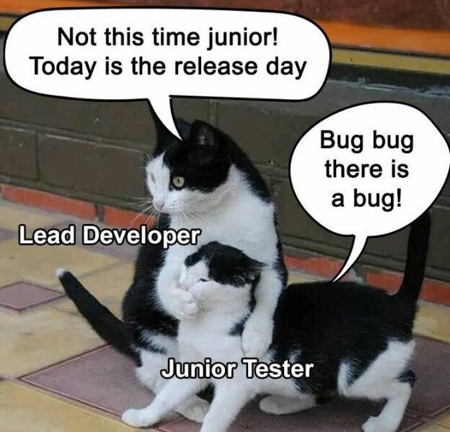 Memes For Programmers (15 pics)