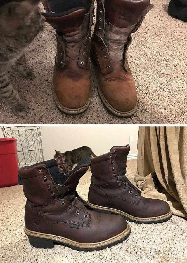 Before And After Cleaning (20 pics)