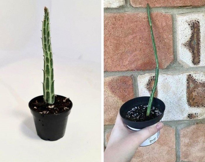 Failed Online Shopping (16 pics)
