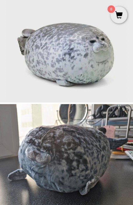 Failed Online Shopping (16 pics)