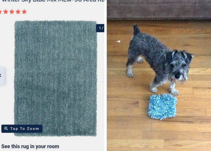 Failed Online Shopping (16 pics)