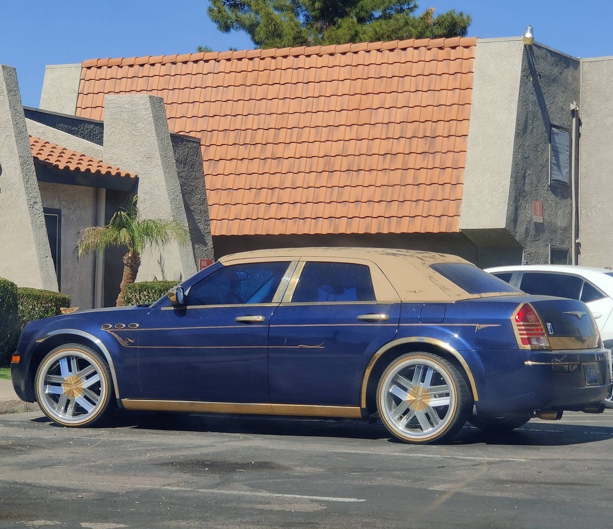 Crazy Tuning (20 pics)