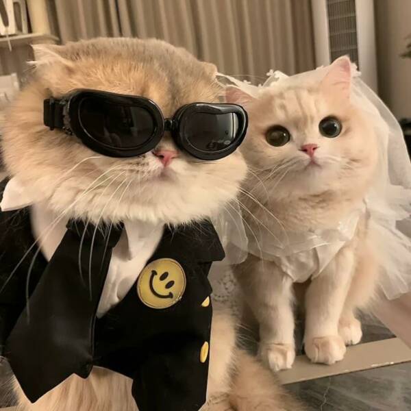 Daily Pictures. Part 1 (61 pics)