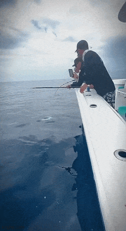 Acid GIFs, January 9 (25 gifs) Acid GIFs, January 9 (25 gifs)