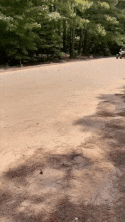 Acid GIFs, January 9 (25 gifs) Acid GIFs, January 9 (25 gifs)