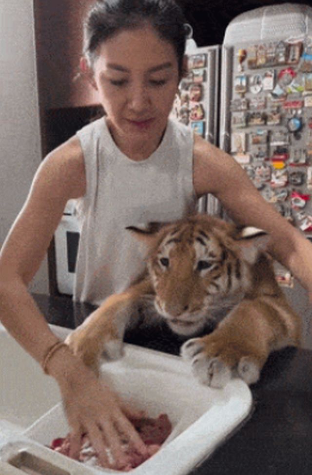 Acid GIFs, January 9 (25 gifs)