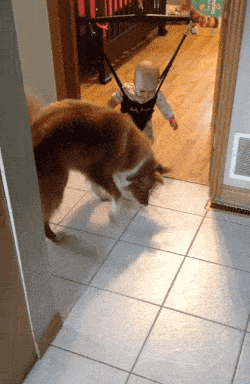 Acid GIFs, January 9 (25 gifs) Acid GIFs, January 9 (25 gifs)