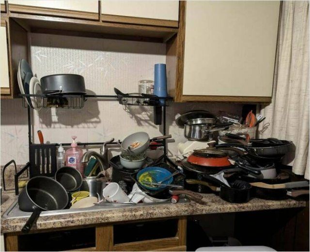 Annoying Roommates (24 pics)