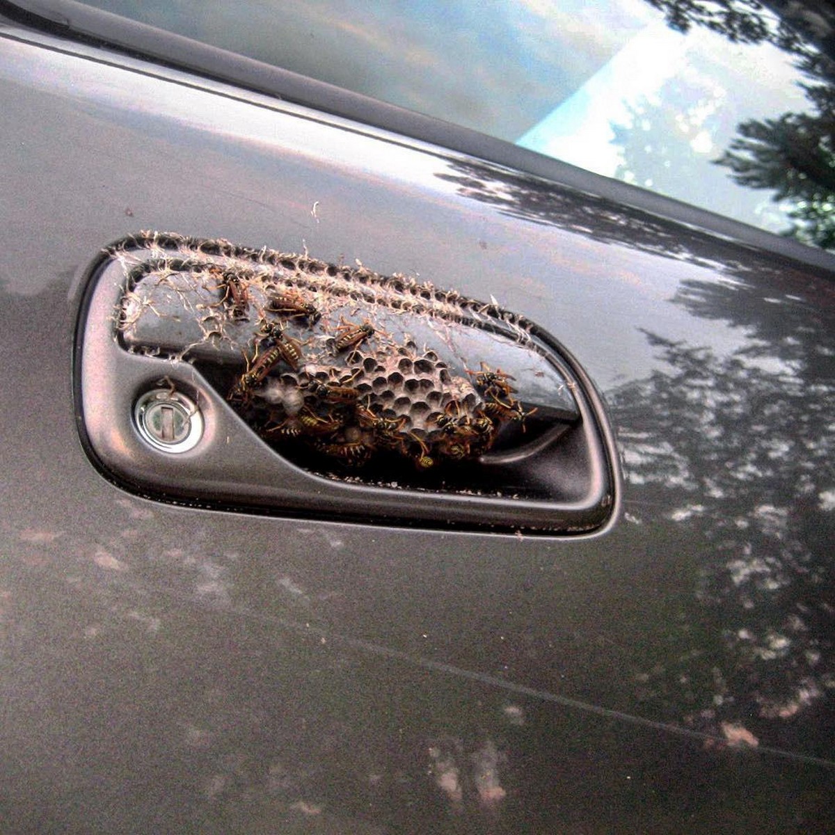 Bad Days Happen (23 pics)