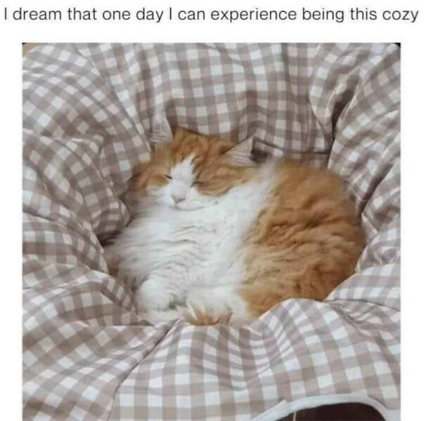 Daily Pictures. Part 2 (61 pics)