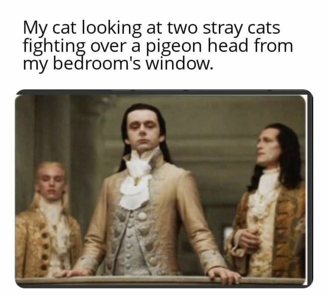 Daily Pictures. Part 2 (61 pics)