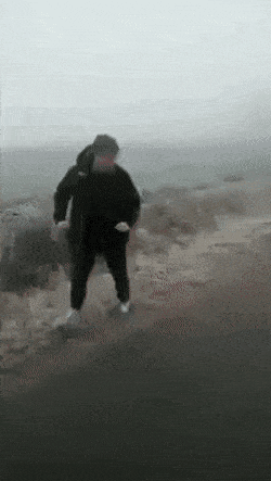 Acid GIFs, January 10 (25 gifs) Acid GIFs, January 10 (25 gifs)