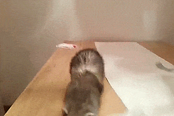 Acid GIFs, January 10 (25 gifs) Acid GIFs, January 10 (25 gifs)