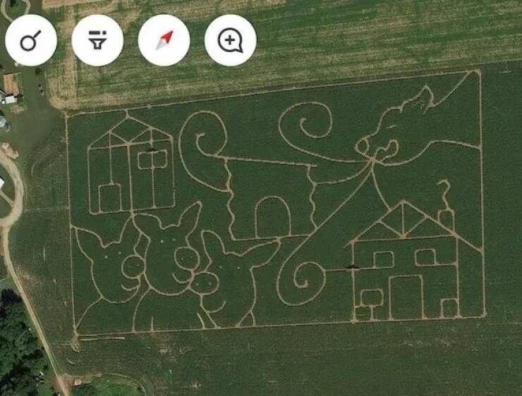 Daily Pictures. Part 1 (57 pics)