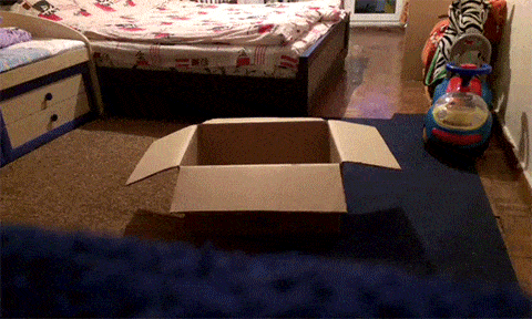 Acid GIFs, January 14 (25 gifs) Acid GIFs, January 14 (25 gifs)