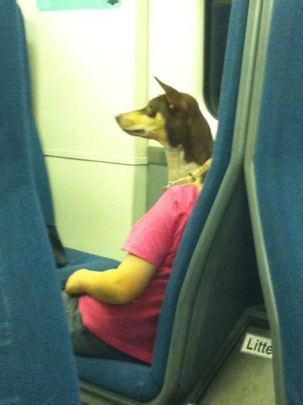 Right Moment (21 pics)