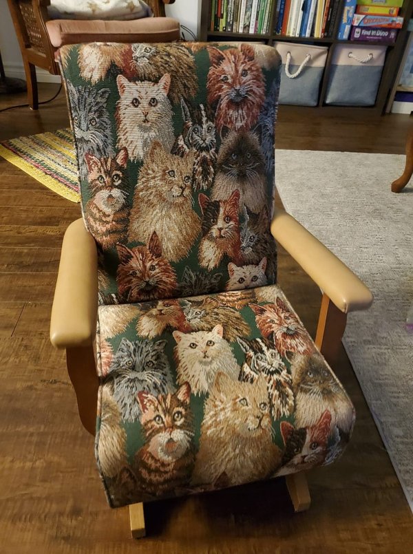 Weird Finds In Thrift Shops (14 pics)