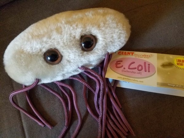 Weird Finds In Thrift Shops (14 pics)