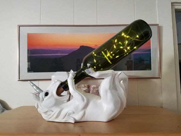 Weird Finds In Thrift Shops (14 pics)
