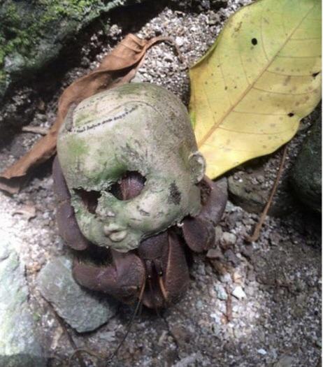 Creepy Dolls (15 pics)
