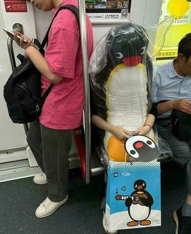 Daily Pictures. Part 2 (56 pics)