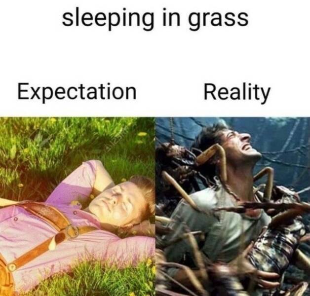 Daily Pictures. Part 2 (56 pics)