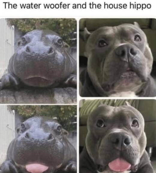 Daily Pictures. Part 2 (56 pics)