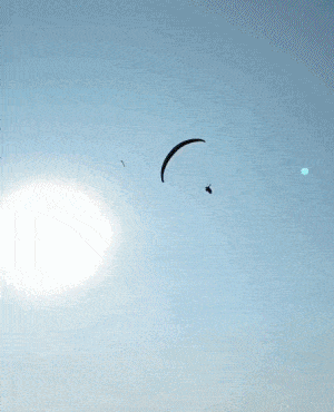 Acid GIFs, January 15 (25 gifs) Acid GIFs, January 15 (25 gifs)