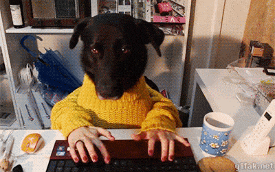 Acid GIFs, January 15 (25 gifs) Acid GIFs, January 15 (25 gifs)