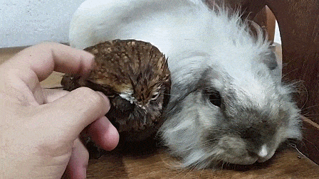 Acid GIFs, January 15 (25 gifs) Acid GIFs, January 15 (25 gifs)