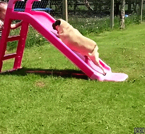 Acid GIFs, January 15 (25 gifs) Acid GIFs, January 15 (25 gifs)
