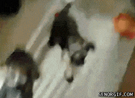 Acid GIFs, January 15 (25 gifs) Acid GIFs, January 15 (25 gifs)