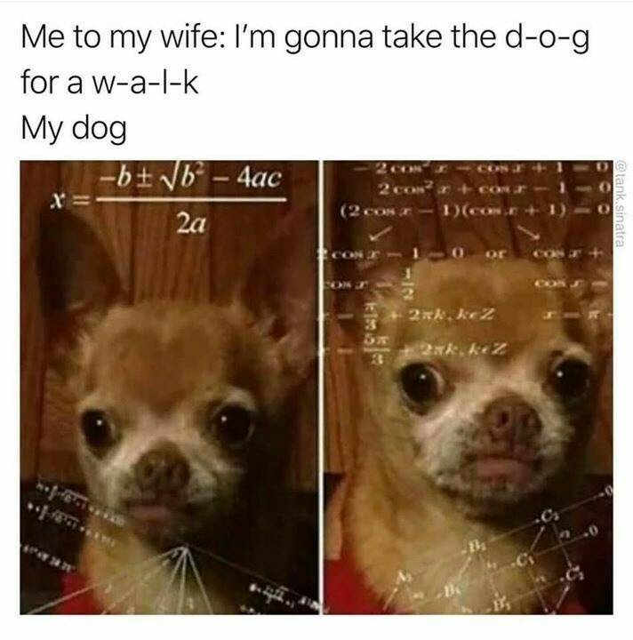 Daily Pictures. Part 2 (60 pics)
