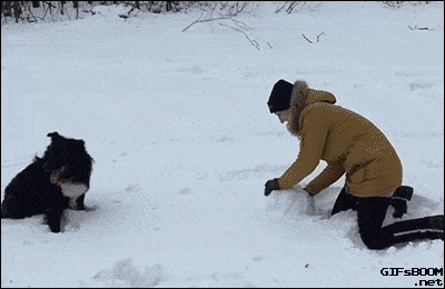 Acid GIFs, January 16 (25 gifs) Acid GIFs, January 16 (25 gifs)