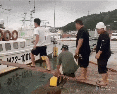 Acid GIFs, January 16 (25 gifs) Acid GIFs, January 16 (25 gifs)