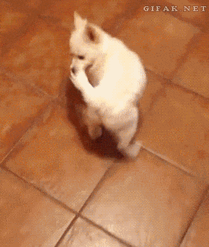 Acid GIFs, January 16 (25 gifs) Acid GIFs, January 16 (25 gifs)