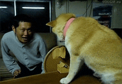 Acid GIFs, January 16 (25 gifs) Acid GIFs, January 16 (25 gifs)