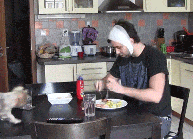 Acid GIFs, January 16 (25 gifs) Acid GIFs, January 16 (25 gifs)
