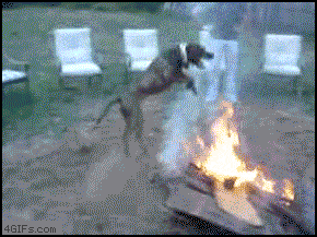 Acid GIFs, January 16 (25 gifs) Acid GIFs, January 16 (25 gifs)
