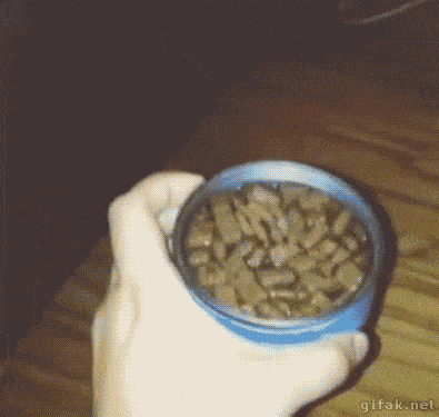 Acid GIFs, January 16 (25 gifs) Acid GIFs, January 16 (25 gifs)