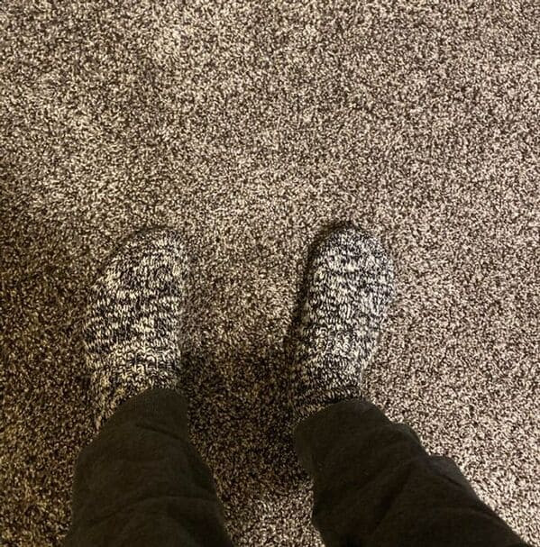 Unexpected Camouflage (19 pics)