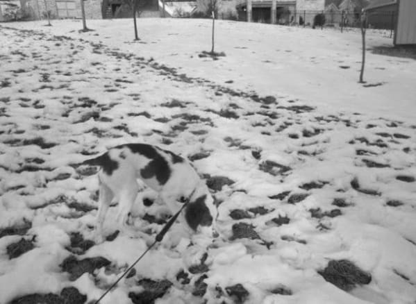 Unexpected Camouflage (19 pics)