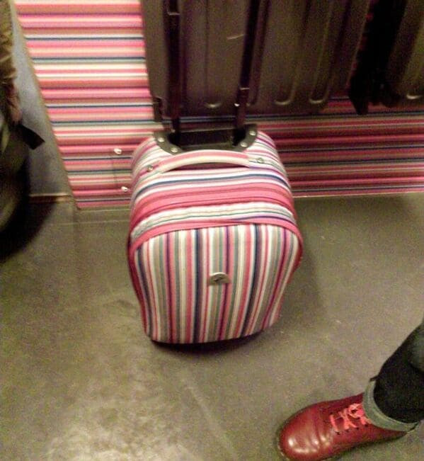 Unexpected Camouflage (19 pics)