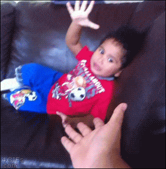 Acid GIFs, January 20 (25 gifs) Acid GIFs, January 20 (25 gifs)
