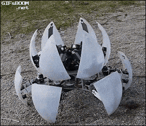Acid GIFs, January 20 (25 gifs) Acid GIFs, January 20 (25 gifs)