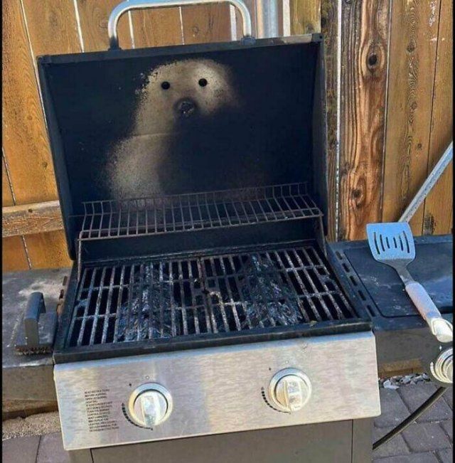 This Is Pareidolia (24 pics)