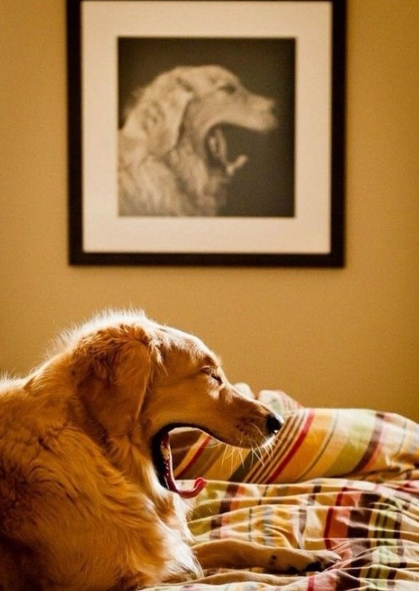 Unexpected Coincidences (16 pics)